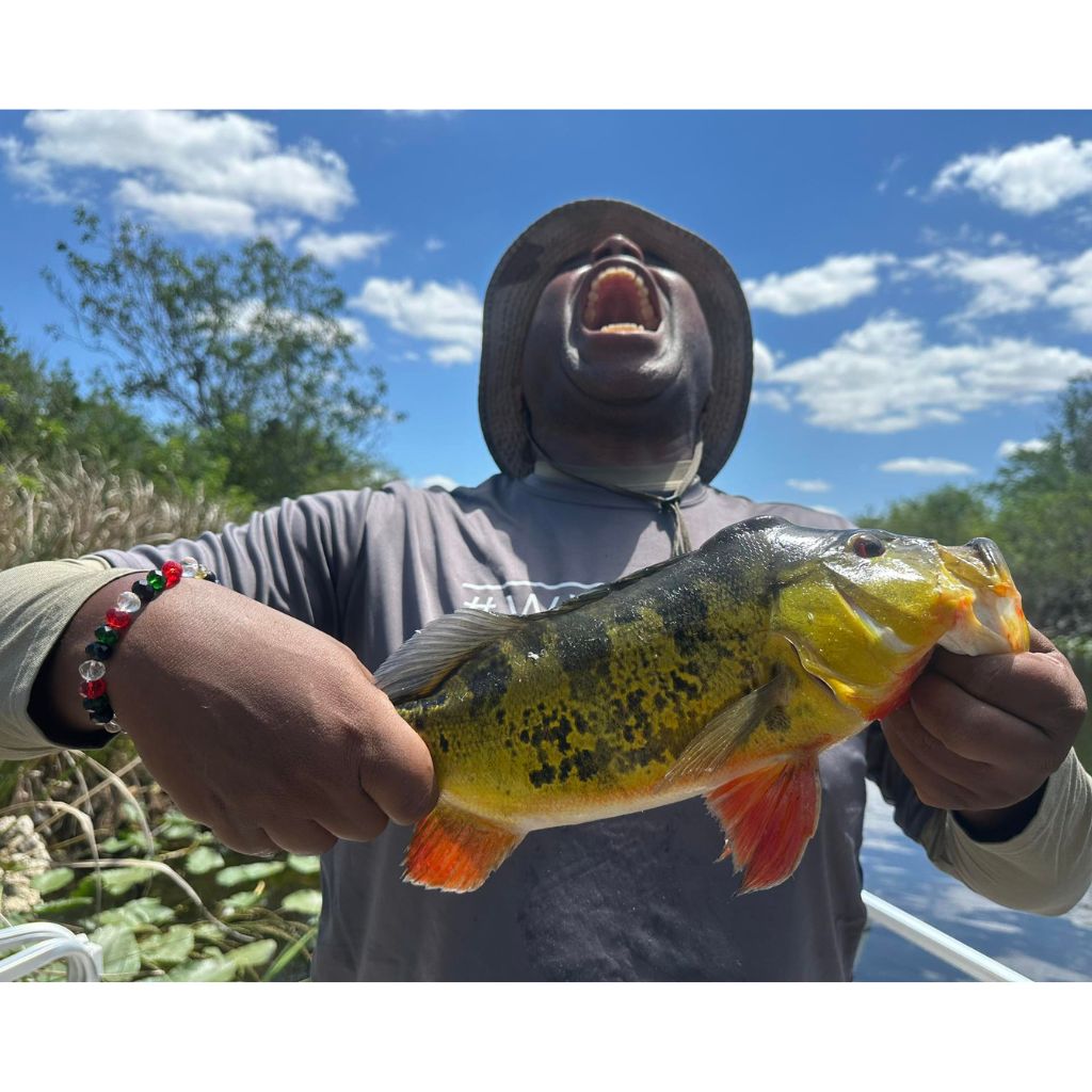Person holding a large fish with a blue sky and trees in the background